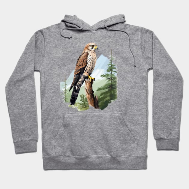 Kestrel Hoodie by zooleisurelife